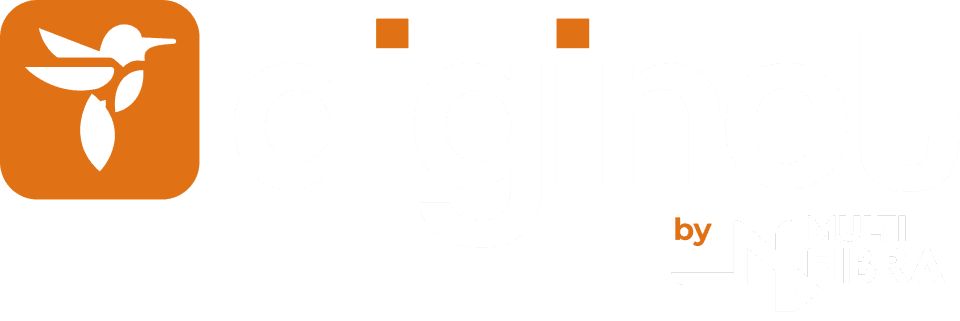 Logo Diginet
